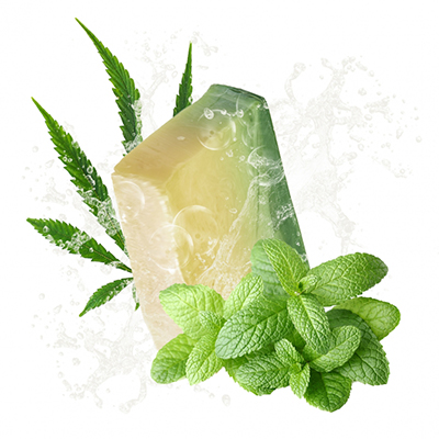 Savon chanvre et menthe